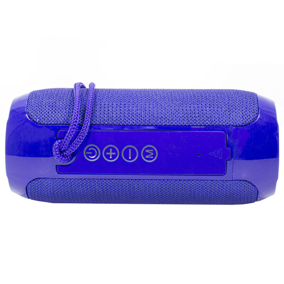 Беспроводная Bluetooth колонка с FM-радио T&G TG-117 (голубая) Беспроводная Bluetooth колонка с FM-радио T&G TG-117 (голубая)