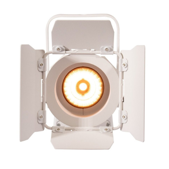 ADJ Encore FR20 DTW white Светодиодный театральный прожектор с линзой Френеля, 17W : 3000К ADJ Encore FR20 DTW white Светодиодный театральный прожектор с линзой Френеля, 17W : 3000К
