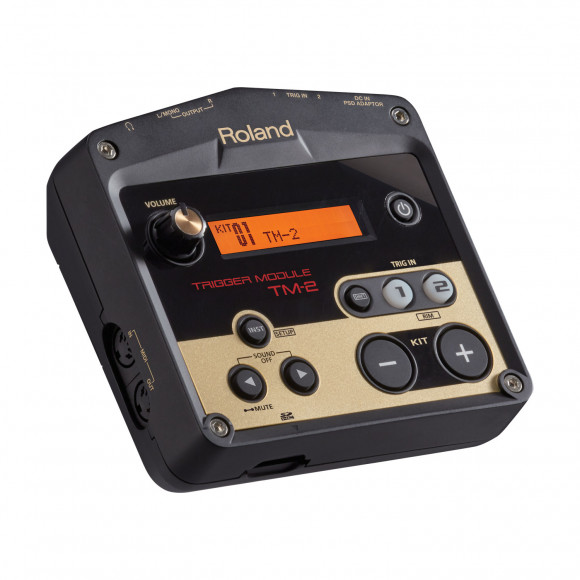 ROLAND TM-2 ROLAND TM-2