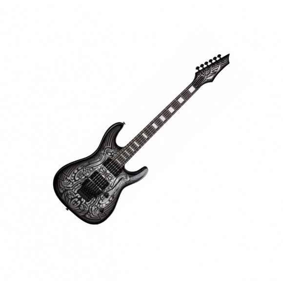 DEAN C450F CUSTOM FLOYD DEAN C450F CUSTOM FLOYD