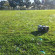 ADJ Bubbletron GO ADJ Bubbletron GO