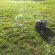 ADJ Bubbletron GO ADJ Bubbletron GO