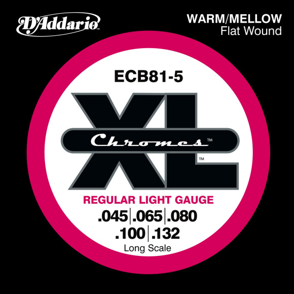 D'ADDARIO ECB81/5 D'ADDARIO ECB81/5