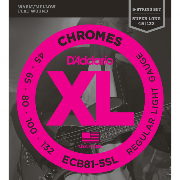 D'ADDARIO ECB81/5SL D'ADDARIO ECB81/5SL