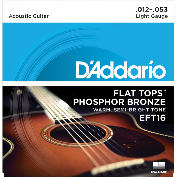 D'ADDARIO EFT16 D'ADDARIO EFT16