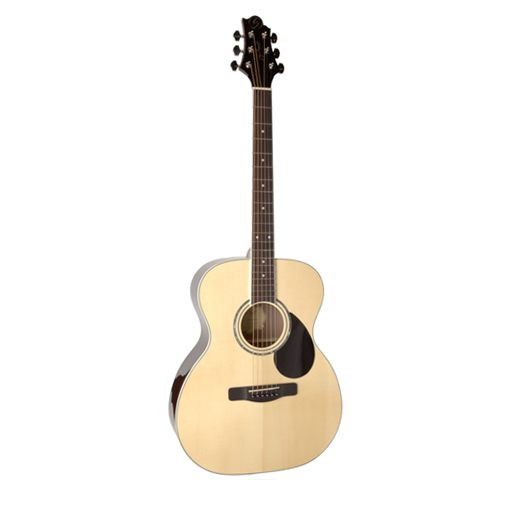 GREG BENNETT GOM100S/N