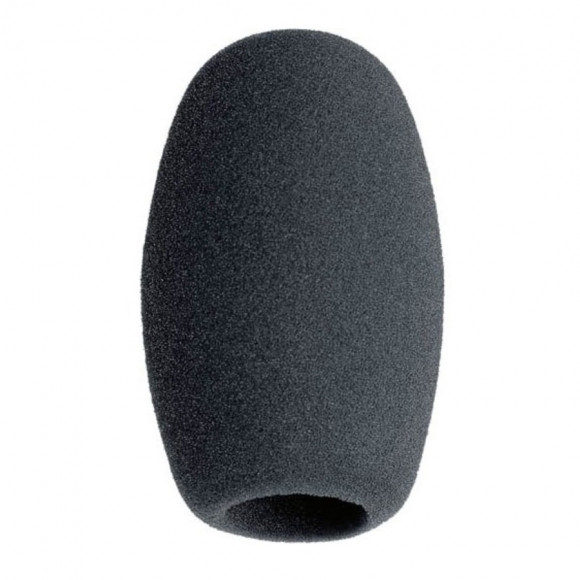 SENNHEISER MZW 1 SENNHEISER MZW 1