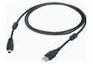 Proel USB1ABMLU3